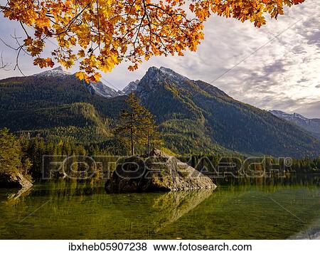 Stock Photo - Autumn at Hintersee, behind Hochkalter, Berchtesgaden National Park, Ramsau, Upper Bavaria, Bavaria, Germany, Europe. Fotosearch