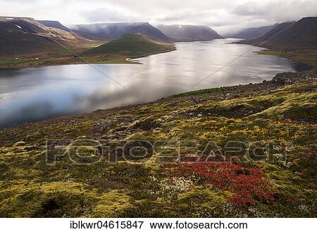 Stock Photo - Autumn atmosphere at the fjord Dýrafjörður, Westfjords, Iceland, Europe. Fotosearch