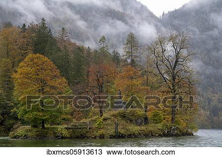Autumn forest in the fog, Königssee, Berchtesgaden National Park, Berchtesgadener Land, Bavaria, Germany, Europe View Large Photo Image Stock Image - Autumn forest in the fog, Königssee, Berchtesgaden National Park, Berchtesgadener Land, Bavaria, Germany, Europe. Fotosearch