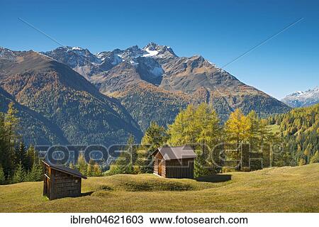 Stock Image - Autumnal mountain landscape with alpine huts, behind Hoher Riffler, Dawin-Alpe, forest meadows, Strengen am Arlberg, Tyrol, Austria, Europe. Fotosearch