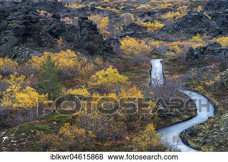 Autumnal vegetation with hiking trail, Dimmuborgir, Myvatn, Northern Iceland, Iceland, Europe View Large Photo Image Stock Photo - Autumnal vegetation with hiking trail, Dimmuborgir, Myvatn, Northern Iceland, Iceland, Europe. Fotosearch
