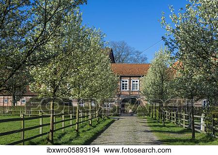 Avenue in front of Gut Füchtel, Oldenburger Münsterland, Vechta, Lower Saxony, Germany, Europe View Large Photo Image Picture - Avenue in front of Gut Füchtel, Oldenburger Münsterland, Vechta, Lower Saxony, Germany, Europe. Fotosearch