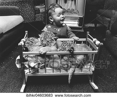 Baby predators in a crib, England, Great Britain View Large Photo Image Stock Image - Baby predators in a crib, England, Great Britain. Fotosearch