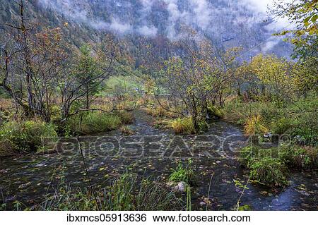 Bachlauf to the Obersee, Berchtesgadener Land, Berchtesgaden National Park, Bavaria, Germany, Europe View Large Photo Image Stock Photograph - Bachlauf to the Obersee, Berchtesgadener Land, Berchtesgaden National Park, Bavaria, Germany, Europe. Fotosearch