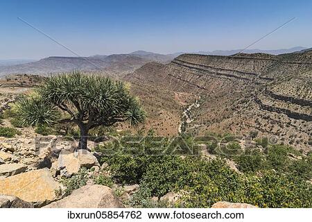 Stock Image - Barren mountain landscape, way into the Danakil depression, Ethiopia, Africa. Fotosearch
