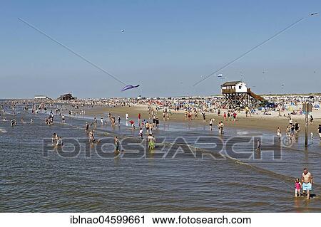 Beach, Sankt Peter-Ording, North Frisia, Schleswig-Holstein, Germany, Europe View Large Photo Image Stock Image - Beach, Sankt Peter-Ording, North Frisia, Schleswig-Holstein, Germany, Europe. Fotosearch