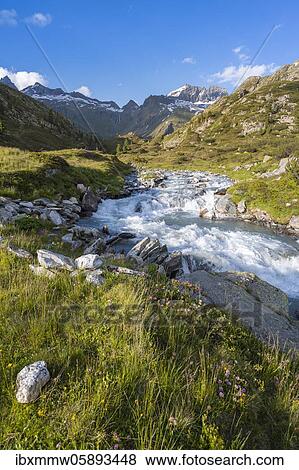 Bergbach, Zemmbach, in the back Little Mörchner and Zsigmondyspitze, snow-covered mountains, Berliner Höhenweg, Zillertaler Alps, Zillertal, Tyrol, Austria, Europe View Large Photo Image Stock Photo - Bergbach, Zemmbach, in the back Little Mörchner and Zsigmondyspitze, snow-covered mountains, Berliner Höhenweg, Zillertaler Alps, Zillertal, Tyrol, Austria, Europe. Fotosearch