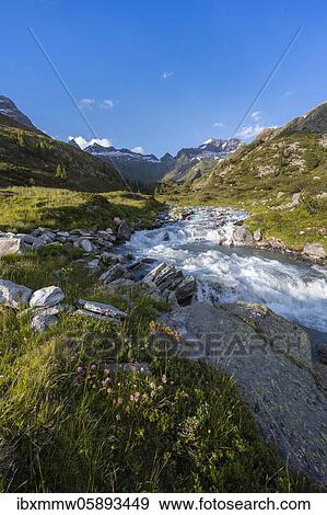 Stock Photo - Bergbach, Zemmbach, in the back Little Mörchner and Zsigmondyspitze, snow-covered mountains, Berliner Höhenweg, Zillertaler Alps, Zillertal, Tyrol, Austria, Europe. Fotosearch