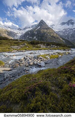Bergbach, Zemmbach, in the background Kleiner Mörchner and Zsigmondyspitze, on the right mountain peaks Steinmandl and Großer Möseler, glaciers Hornkees and Waxeggkees, Zillertaler Alps, Zillertal, Tyrol, Austria, Europe View Large Photo Image Stock Image - Bergbach, Zemmbach, in the background Kleiner Mörchner and Zsigmondyspitze, on the right mountain peaks Steinmandl and Großer Möseler, glaciers Hornkees and Waxeggkees, Zillertaler Alps, Zillertal, Tyrol, Austria, Europe. Fotosearch