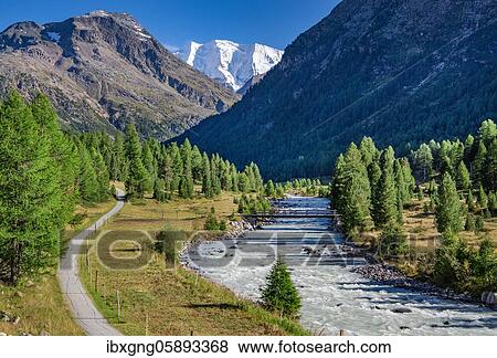 Bernina Valley with Bernina stream and Piz Palü, Pontresina, Bernina Alps, Upper Engadine, Engadine, Grisons, Switzerland, Europe View Large Photo Image Stock Photo - Bernina Valley with Bernina stream and Piz Palü, Pontresina, Bernina Alps, Upper Engadine, Engadine, Grisons, Switzerland, Europe. Fotosearch