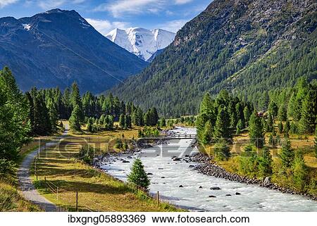 Bernina Valley with Bernina stream and Piz Palü, Pontresina, Bernina Alps, Upper Engadine, Engadine, Grisons, Switzerland, Europe View Large Photo Image Stock Photo - Bernina Valley with Bernina stream and Piz Palü, Pontresina, Bernina Alps, Upper Engadine, Engadine, Grisons, Switzerland, Europe. Fotosearch