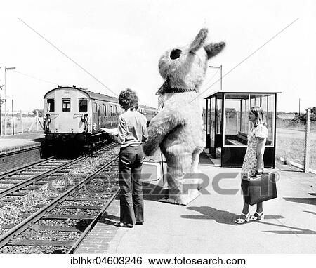 Big rabbit waits with passengers at the platform of a train station, England, Great Britain View Large Photo Image Stock Photograph - Big rabbit waits with passengers at the platform of a train station, England, Great Britain. Fotosearch