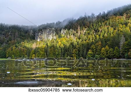 Black Forest, Feldsee in autumn, Baden-Württemberg, Germany, Europe View Large Photo Image Stock Photography - Black Forest, Feldsee in autumn, Baden-Württemberg, Germany, Europe. Fotosearch