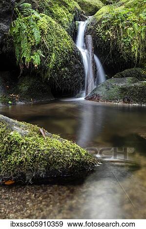 Black Forest, Gertelbach Waterfalls, Baden-Württemberg, Germany, Europe View Large Photo Image Stock Photo - Black Forest, Gertelbach Waterfalls, Baden-Württemberg, Germany, Europe. Fotosearch