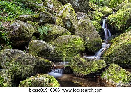 Black Forest, Gertelbach Waterfalls, Baden-Württemberg, Germany, Europe View Large Photo Image Stock Photograph - Black Forest, Gertelbach Waterfalls, Baden-Württemberg, Germany, Europe. Fotosearch