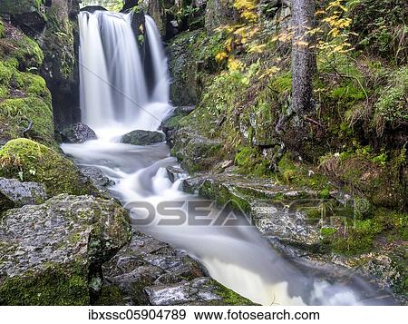 Black Forest, Menzenschwander Alb, waterfalls in autumn, Baden-Württemberg, Germany, Europe View Large Photo Image Stock Photo - Black Forest, Menzenschwander Alb, waterfalls in autumn, Baden-Württemberg, Germany, Europe. Fotosearch