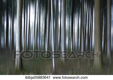 Blurred trees, Puy de Dome department, Auvergne-Rhone-Alpes, france View Large Photo Image Stock Image - Blurred trees, Puy de Dome department, Auvergne-Rhone-Alpes, france. Fotosearch