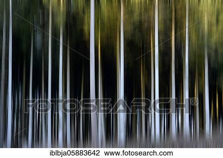 Blurred trees, Puy de Dome department, Auvergne-Rhone-Alpes, france View Large Photo Image Stock Image - Blurred trees, Puy de Dome department, Auvergne-Rhone-Alpes, france. Fotosearch