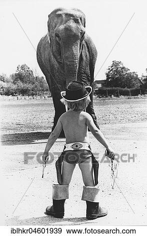 Boy as cowboy in front of elephant, England, Great Britain View Large Photo Image Stock Photo - Boy as cowboy in front of elephant, England, Great Britain. Fotosearch