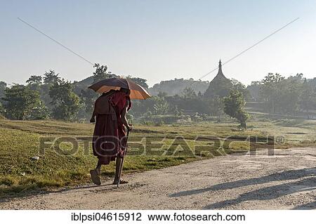 Buddhist monk with umbrella walks on dirt-road in Mrauk U, Burma, Myanmar, Asia View Large Photo Image Stock Image - Buddhist monk with umbrella walks on dirt-road in Mrauk U, Burma, Myanmar, Asia. Fotosearch