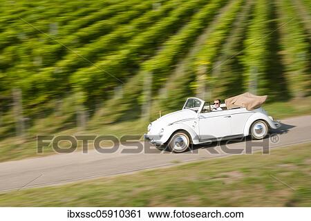 Businessman in a classic car, driving through vineyards, Remstal, Baden-Württemberg, Germany, Europe View Large Photo Image Stock Image - Businessman in a classic car, driving through vineyards, Remstal, Baden-Württemberg, Germany, Europe. Fotosearch
