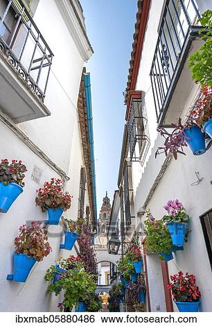 Stock Photograph - Calle de las Flores, alley decorated with flowers, in the back church tower of the Mezquita-Catedral de Córdoba or Cathedral of the Conception of Our Lady, Córdoba, province Cordoba, Andalusia, Spain, Europe. Fotosearch