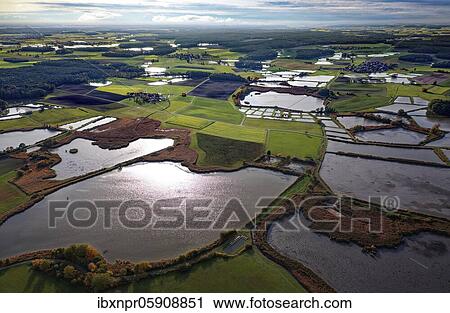 Stock Image - Carp pond, carp pond, fish farming, nature reserve bird sanctuary, pond area near Mohrhof, villages from left Mohrhof, middle Biengarten, right Poppenwind, Aischgrund, Middle Franconia, Franconia, Bavaria, Germany, Europe. Fotosearch