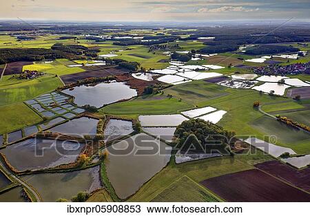 Stock Image - Carp pond, carp pond, fish farming, nature reserve bird sanctuary, pond area near Mohrhof, villages from left Mohrhof, middle Biengarten, right Poppenwind, Aischgrund, Middle Franconia, Franconia, Bavaria, Germany, Europe. Fotosearch