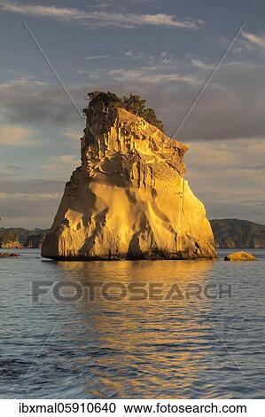 Cathedral Cove, Oceania, Cathedral Cove Marina Reserve, Coromandel Peninsula, Waitako, North Island, New Zealand, Oceania View Large Photo Image Stock Image - Cathedral Cove, Oceania, Cathedral Cove Marina Reserve, Coromandel Peninsula, Waitako, North Island, New Zealand, Oceania. Fotosearch