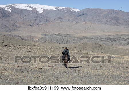 Cattle herder on his horse in the Altai mountains, Olgii province, Mongolia, Asia View Large Photo Image Stock Photo - Cattle herder on his horse in the Altai mountains, Olgii province, Mongolia, Asia. Fotosearch