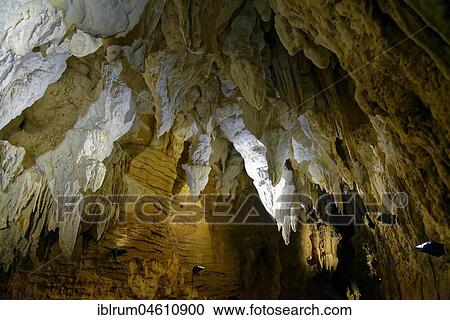 Ceiling hanging stalactites in the dripstone cave Aranui Cave, Waitomo Caves, Waikato, North Island, New Zealand, Oceania View Large Photo Image Stock Image - Ceiling hanging stalactites in the dripstone cave Aranui Cave, Waitomo Caves, Waikato, North Island, New Zealand, Oceania. Fotosearch