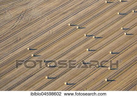 Cereal bales, harvested cornfield, agriculture, Lünen, North Rhine-Westphalia, Germany, Europe View Large Photo Image Stock Image - Cereal bales, harvested cornfield, agriculture, Lünen, North Rhine-Westphalia, Germany, Europe. Fotosearch