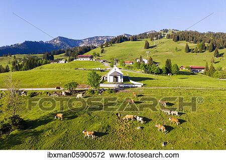 Chapel St. Leonhard, Grafenherberg, Sudelfeld, between Oberaudorf and Bayrischzell, Mangfall Mountains, Upper Bavaria, Bavaria, Germany, Europe View Large Photo Image Stock Image - Chapel St. Leonhard, Grafenherberg, Sudelfeld, between Oberaudorf and Bayrischzell, Mangfall Mountains, Upper Bavaria, Bavaria, Germany, Europe. Fotosearch