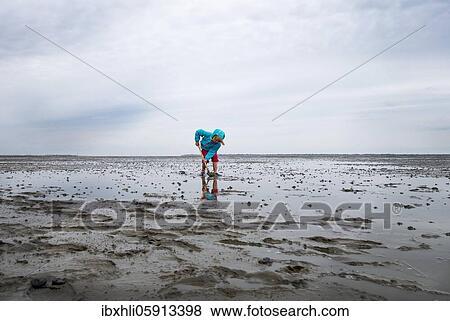 Child playing in the mudflats, mudflat hiking tour, Lower Saxony Wadden Sea National Park, East Frisia, Lower Saxony, Germany, Europe View Large Photo Image Stock Photo - Child playing in the mudflats, mudflat hiking tour, Lower Saxony Wadden Sea National Park, East Frisia, Lower Saxony, Germany, Europe. Fotosearch