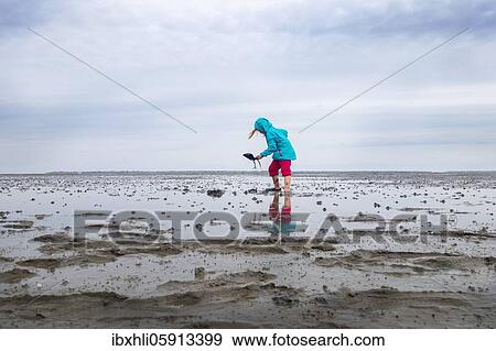 Stock Photo - Child playing in the mudflats, mudflat hiking tour, Lower Saxony Wadden Sea National Park, East Frisia, Lower Saxony, Germany, Europe. Fotosearch