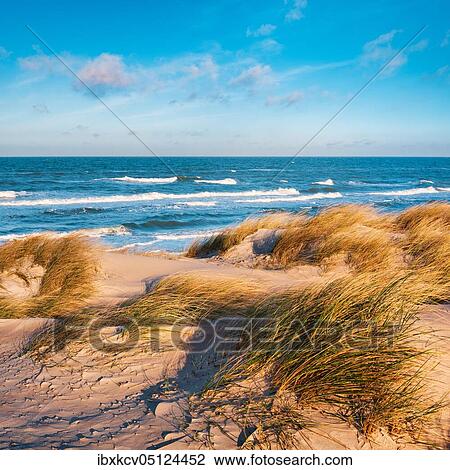 Stock Image - Clear winter day at the Baltic Sea, dunes with beach grass, Darß peninsula, Fischland-Darß-Zingst, National Park Vorpommersche Boddenlandschaft, Mecklenburg-Vorpommern, Germany, Europe. Fotosearch