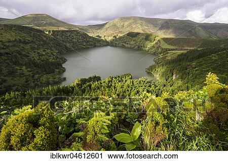 Cloud atmosphere over the Caldeira Funda, Ilha das Flores, Flores Island, Azores, Portugal, Europe View Large Photo Image Stock Image - Cloud atmosphere over the Caldeira Funda, Ilha das Flores, Flores Island, Azores, Portugal, Europe. Fotosearch