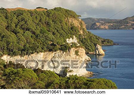 Coast at Cathedral Cove Walk, Coromandel Peninsula, Waikatu, North Island, New Zealand, Oceania View Large Photo Image Stock Image - Coast at Cathedral Cove Walk, Coromandel Peninsula, Waikatu, North Island, New Zealand, Oceania. Fotosearch