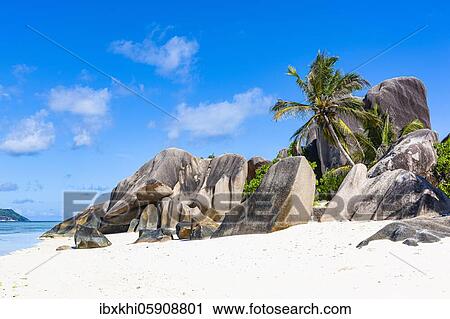 Coconut palms (Cocos nucifera) and rocks on the beach Source d'Argent, La Digue Island, Seychelles, Africa View Large Photo Image Stock Image - Coconut palms (Cocos nucifera) and rocks on the beach Source d'Argent, La Digue Island, Seychelles, Africa. Fotosearch