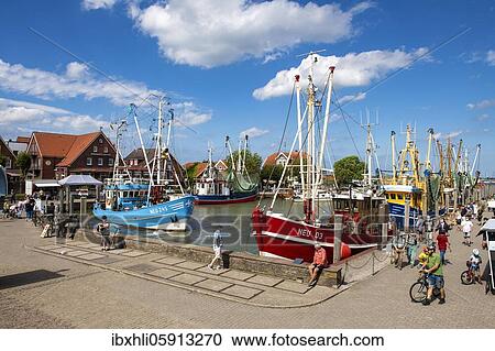 Colourful shrimp boats in the fishing port, Neuharlingersiel, East Frisia, Niedersachsen, Germany, Europe View Large Photo Image Stock Image - Colourful shrimp boats in the fishing port, Neuharlingersiel, East Frisia, Niedersachsen, Germany, Europe. Fotosearch