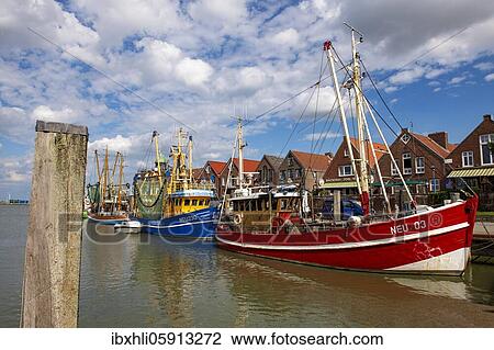Stock Image - Colourful shrimp boats in the fishing port, Neuharlingersiel, East Frisia, Niedersachsen, Germany, Europe. Fotosearch