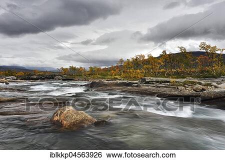 Colourful trees in autumn, rapids in the river Saltelva, Saltdal, Norway, Europe View Large Photo Image Stock Photograph - Colourful trees in autumn, rapids in the river Saltelva, Saltdal, Norway, Europe. Fotosearch