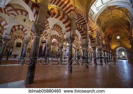 Stock Image - Columned hall with arches in Moorish style, prayer hall of the former mosque, Mezquita-Catedral de Córdoba or Cathedral of the Conception of Our Lady, Córdoba, province of Cordoba, Andalusia, Spain, Europe. Fotosearch