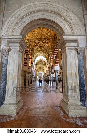 Columned hall with arches in Moorish style, prayer hall of the former mosque, Mezquita-Catedral de Córdoba or Cathedral of the Conception of Our Lady, Córdoba, province of Cordoba, Andalusia, Spain, Europe View Large Photo Image Stock Image - Columned hall with arches in Moorish style, prayer hall of the former mosque, Mezquita-Catedral de Córdoba or Cathedral of the Conception of Our Lady, Córdoba, province of Cordoba, Andalusia, Spain, Europe. Fotosearch