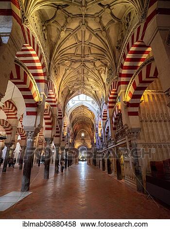 Columned hall with arches in Moorish style, prayer hall of the former mosque, Mezquita-Catedral de Córdoba or Cathedral of the Conception of Our Lady, Córdoba, province of Cordoba, Andalusia, Spain, Europe View Large Photo Image Stock Photo - Columned hall with arches in Moorish style, prayer hall of the former mosque, Mezquita-Catedral de Córdoba or Cathedral of the Conception of Our Lady, Córdoba, province of Cordoba, Andalusia, Spain, Europe. Fotosearch