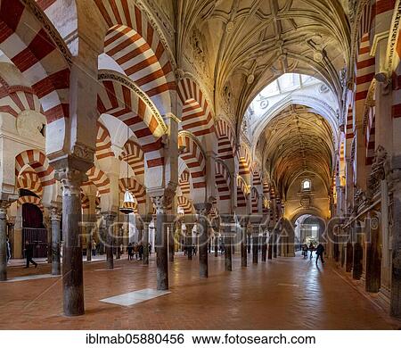 Columned hall with arches in Moorish style, prayer hall of the former mosque, Mezquita-Catedral de Córdoba or Cathedral of the Conception of Our Lady, Córdoba, province of Cordoba, Andalusia, Spain, Europe View Large Photo Image Stock Photograph - Columned hall with arches in Moorish style, prayer hall of the former mosque, Mezquita-Catedral de Córdoba or Cathedral of the Conception of Our Lady, Córdoba, province of Cordoba, Andalusia, Spain, Europe. Fotosearch