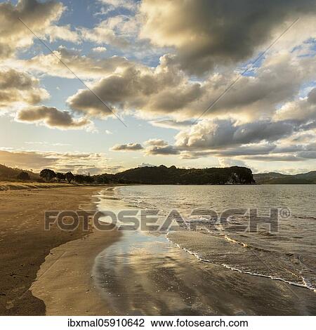 Cooks Beach at sunset, Oceania, Coromandel Peninsula, Waitako, North Island, New Zealand, Oceania View Large Photo Image Stock Image - Cooks Beach at sunset, Oceania, Coromandel Peninsula, Waitako, North Island, New Zealand, Oceania. Fotosearch