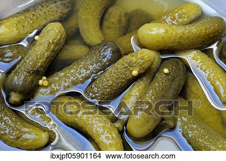 Cornichons, pickled gherkins, Germany, Europe View Large Photo Image Picture - Cornichons, pickled gherkins, Germany, Europe. Fotosearch
