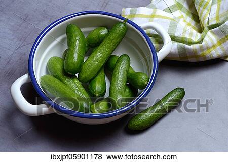 Cucumber, pickled gherkins in bowl, Germany, Europe View Large Photo Image Stock Photo - Cucumber, pickled gherkins in bowl, Germany, Europe. Fotosearch
