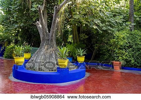 Picture - Detail, Jardin Majorelle with blue house of Yves Saint-Laurent, botanical garden, Marrakech, Morocco, Africa. Fotosearch